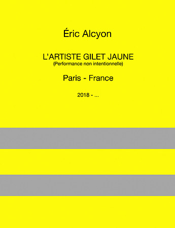 L'artiste Gilet Jaune, 2018-...